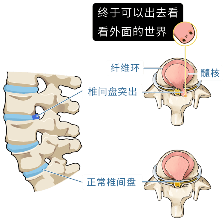 49996c7f26834a899a80ed2768f5ea06.png